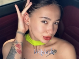 Hollybrik
