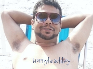 Hornybeachboy