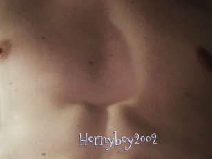 Hornyboy2002