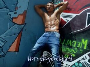 hornyboycockhard Faceporno