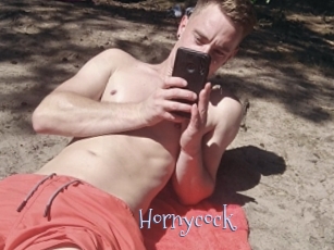 hornycock Faceporno