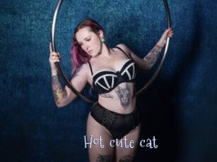 Hot_cute_cat