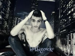 hotbigcock0 Faceporno