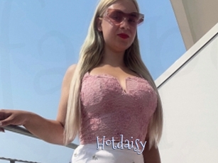 Hotdaisy