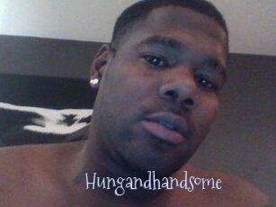 Hungandhandsome