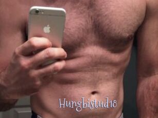 Hungbistud18