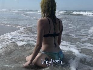 Iceypooh Faceporno