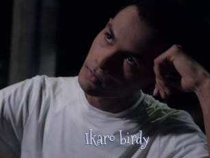 Ikaro_birdy