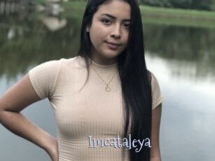 Imcataleya
