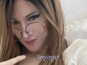 Imginger