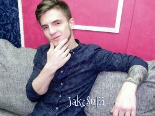 JakeSulii