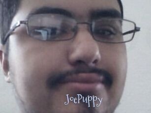 JoePuppy