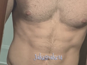 Jakesnake14