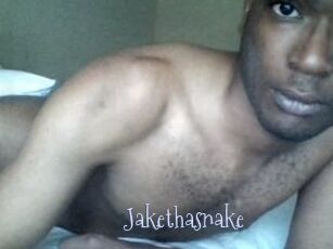 Jake_tha_snake