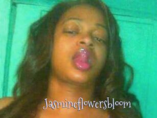 Jasmineflowersbloom