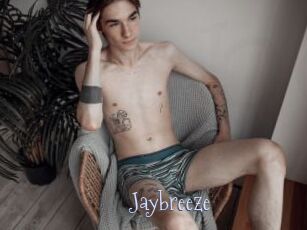 Jaybreeze