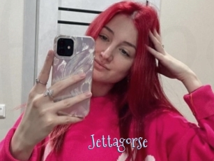 Jettagorse