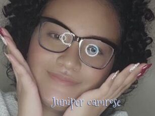 Juniper_camrose