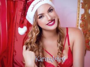 KarinaJohns Faceporno
