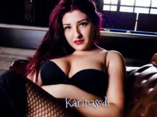Karinasodi