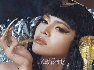 KeshBorts