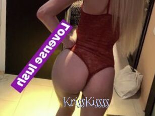 KrissKissss