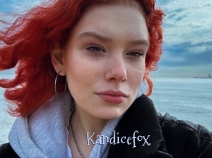 Kandicefox
