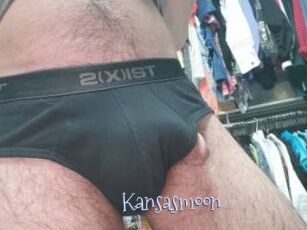 Kansasmoon