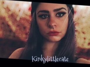 Kinkylittlecate