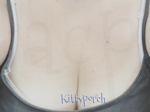 Kittyporch