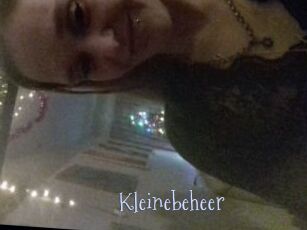 Kleinebeheer
