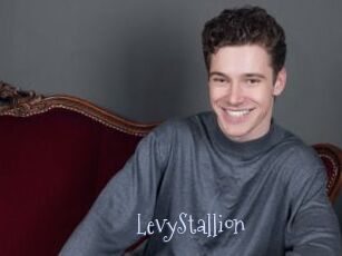 LevyStallion