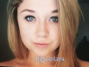 LillyLantana