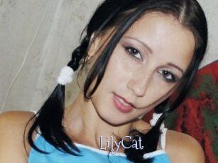 Lily_Cat_