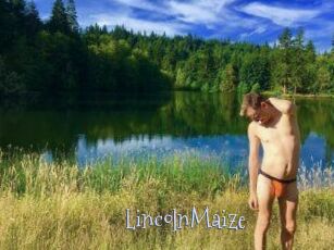 Lincoln_Maize