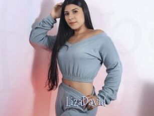 LizaDavid Faceporno