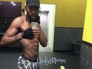 Lledys_Bloom
