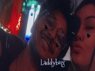 Laddybug