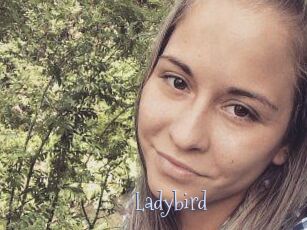 Ladybird