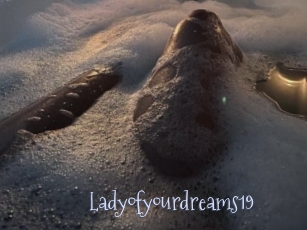 Ladyofyourdreams19