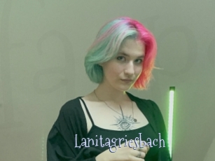Lanitagriesbach