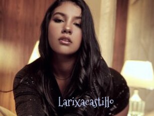 Larixacastillo