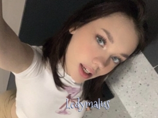 Ledymalus
