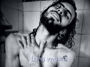 Lepus_mystical