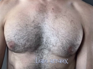 liam_arnaux Faceporno