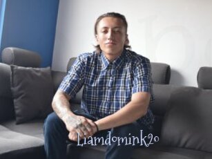 Liamdomink20