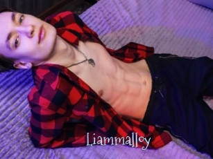 Liammalloy