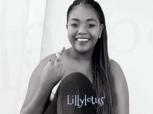 Lillylotus