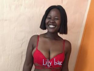 Lily_bae