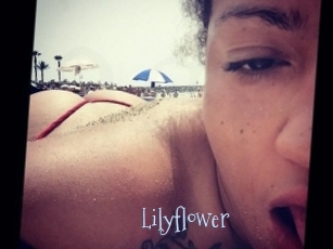 Lilyflower